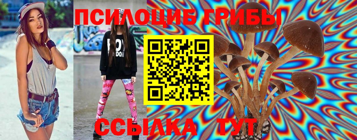 Псилоцибиновые грибы ЛСД Богданович